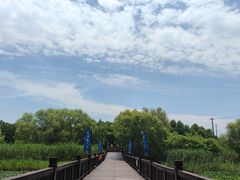 -苏州太湖国家湿地公园