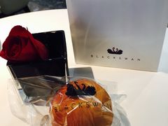 -BLACKSWAN黑天鹅(环球店)