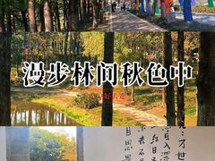 -武汉园博园(武汉自然博物馆)