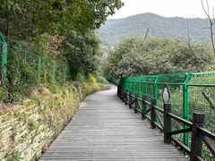 -树山生态村