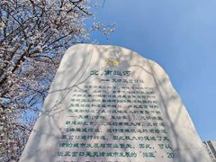 -桃花堤公园