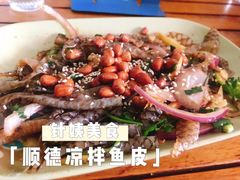 -针姨