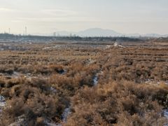 -中华三祖圣地黄帝城遗址文化旅游区