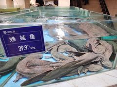 水产区-旺顺阁海鲜广场(亚运村店)