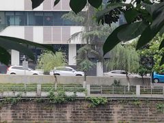 -成都市活水公园