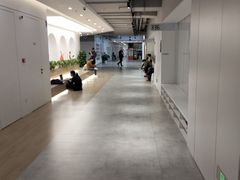 -舞蕾舞蹈(特长生校区)