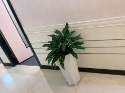 -深圳阳光医疗美容医院·旗舰店
