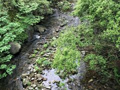 -天明山温泉大酒店