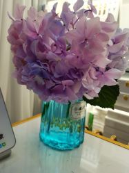 -菩羽·专业美胸·连锁养护中心