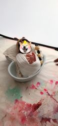 -亲吻宝贝儿童摄影