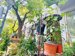 -五进制 Coffee Shop