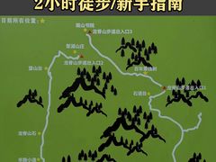 -南山植物园