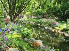 -上海共青森林公园