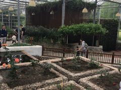 -上海多利农业发展有限公司