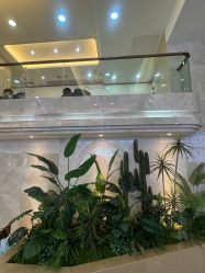 -广州曙光医学美容医院