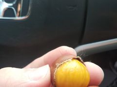 -阿男野栗王(金门路店)