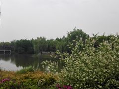 -尚贤河湿地