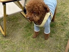 -WEPARK 芳草寓