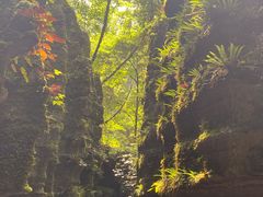 -梭布垭石林景区