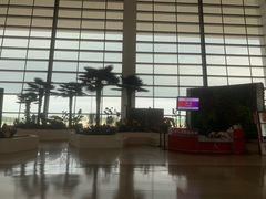 -郑州新郑国际机场-T2航站楼