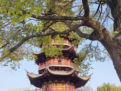 -龙华寺