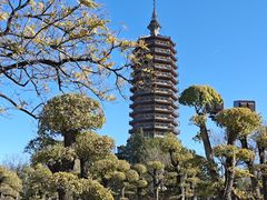 -西海子公园