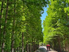 -日照灯塔风景区