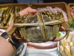 -高佳庄·舟山海鲜(海景旗舰店)