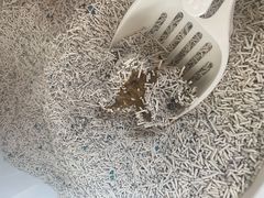 -全心全意连锁动物医院(加州店)