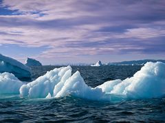 -中青旅遨游旅行旗舰店