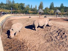 -鄂尔多斯野生动物园