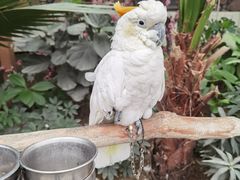 -南宫五洲植物乐园