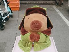 -何适山庄·团餐住宿(水长城P2停车场店)