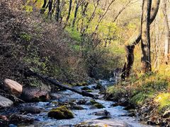 -玉渡山自然风景区