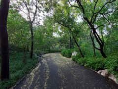 -千佛山风景名胜区
