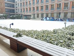 -金陵中学(河西分校)