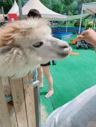 -萌宠亲子动物乐园(槐房万达店)