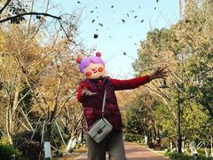 -金鸡湖桃花岛