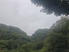 -牛背梁国家森林公园