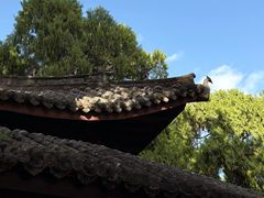 -七曲山风景区
