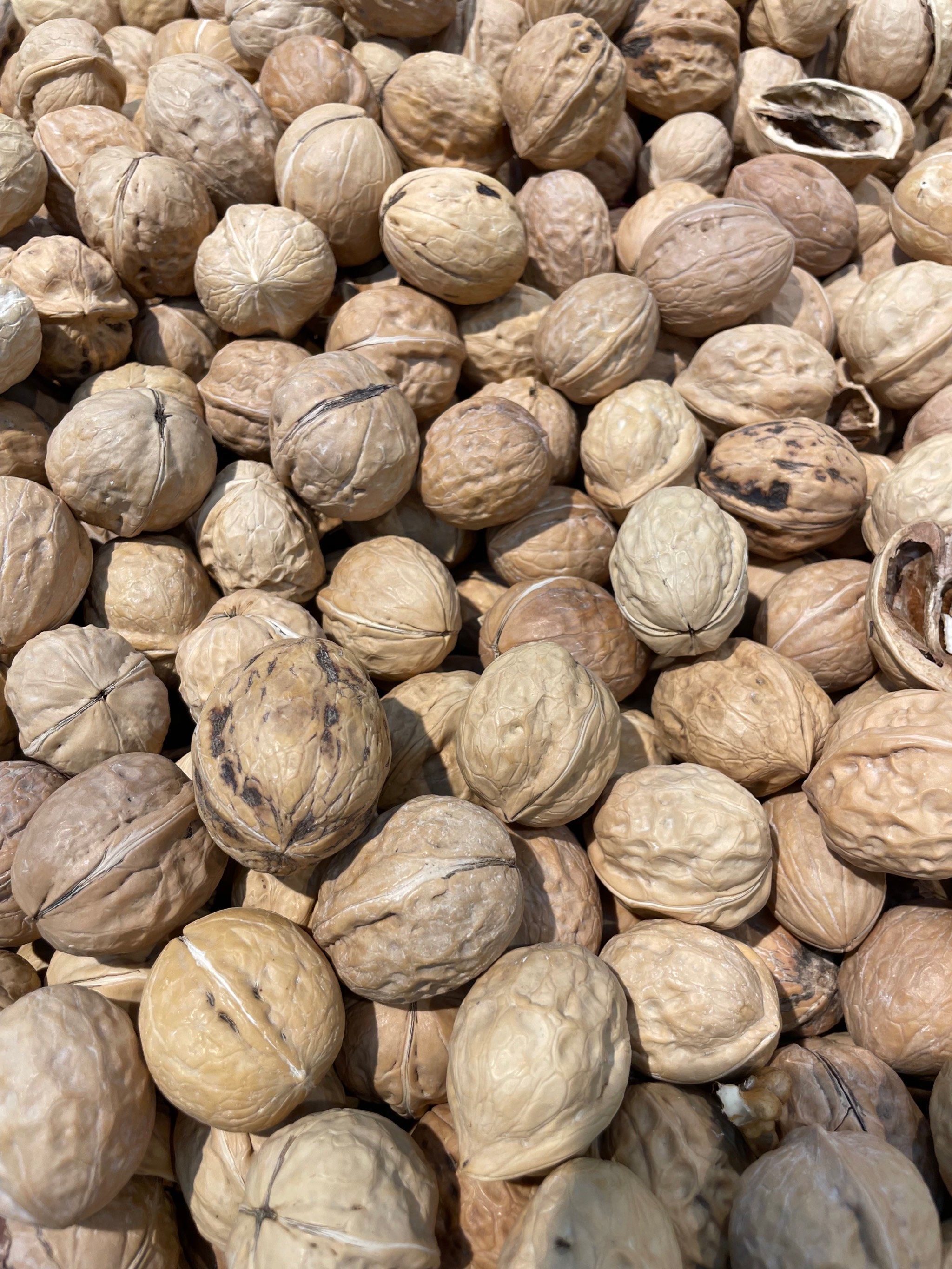 坚果类摄影教程笔记图片，技巧教学大全