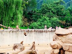 -西安秦岭野生动物园