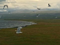 -青海湖国家重点风景名胜区