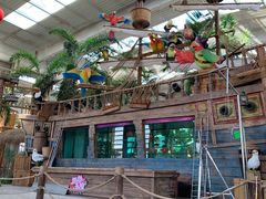 -南宫五洲植物乐园