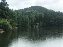 -四明山国家森林公园
