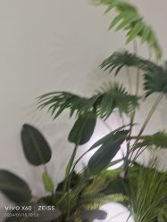 -HEYAN荷妍专业脱毛连锁机构