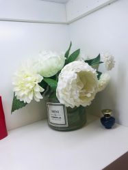 -美肤盾祛痘·问题肌头疗管理中心