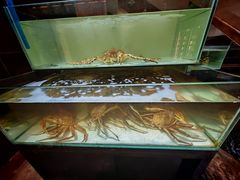 -樱之盛宴·蟹料理海鲜自助(前进大街店)
