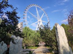 -石家庄市植物园