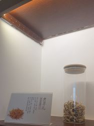 -梵茜儿·头道汤养生馆